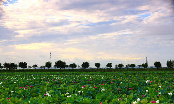 <a href=http://www.lexiangyou.org/xiangcunlvyou/ target=_blank class=infotextkey>乡村旅游</a>：中山崖口村一日游