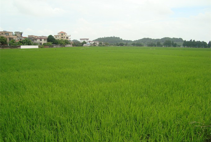 <a href=http://www.lexiangyou.org/xiangcunlvyou/ target=_blank class=infotextkey>乡村旅游</a>：中山崖口村一日游
